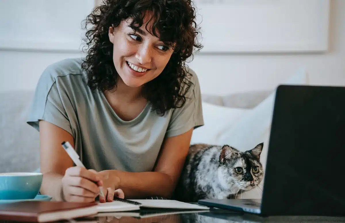 chat  apprentissage