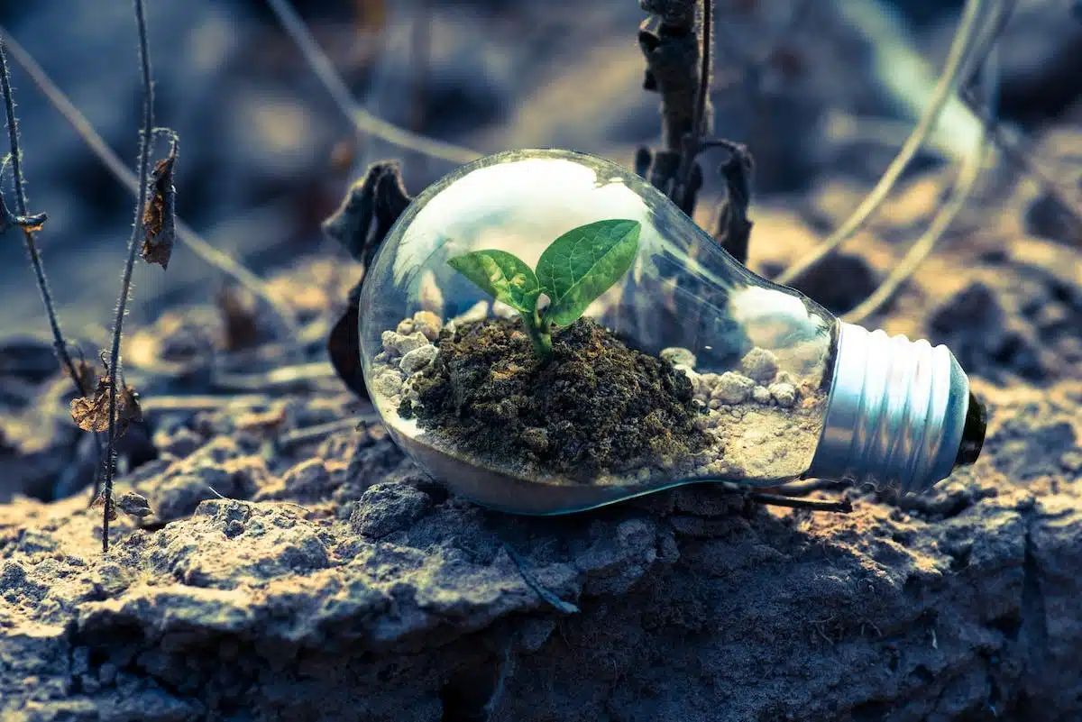 environnement  biodiversité