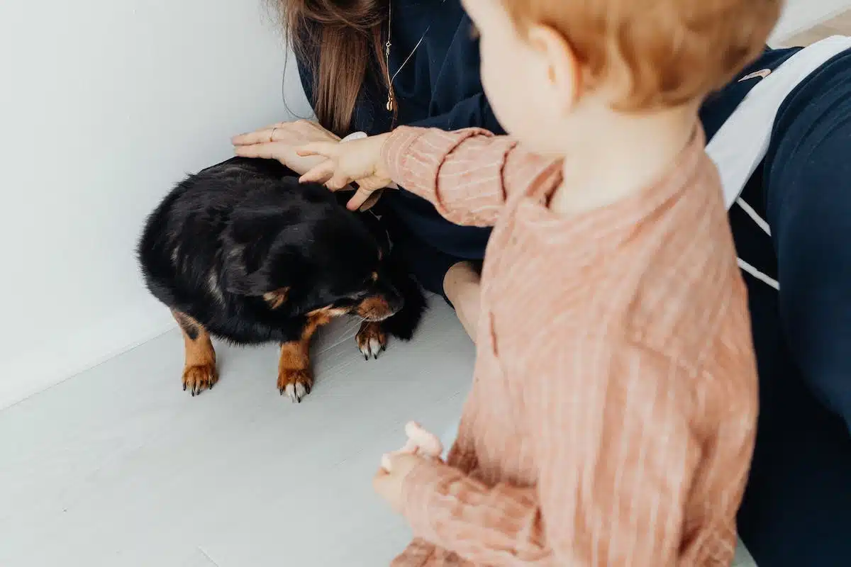 chien enfant
