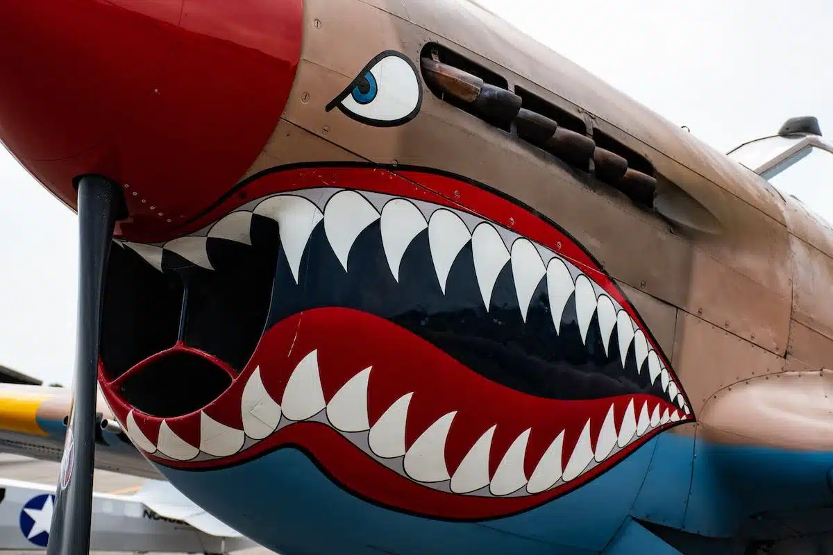 animal avion